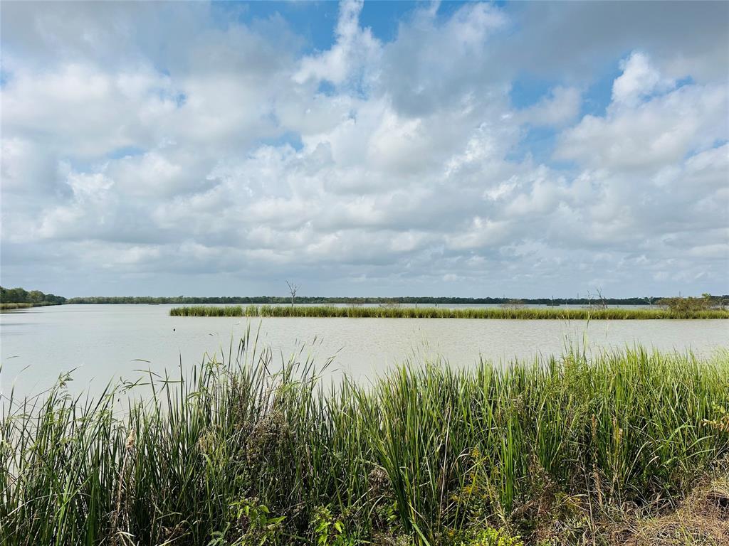 274 Pony Trail, Angleton, Texas image 1