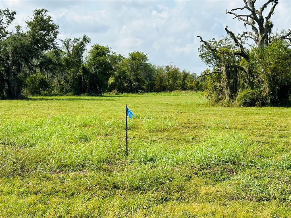 274 Pony Trail, Angleton, Texas image 3