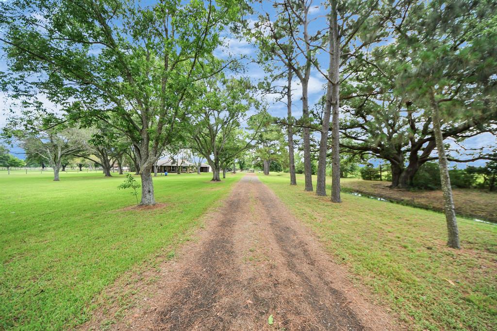 18011 Jungman Road, Damon, Texas image 35