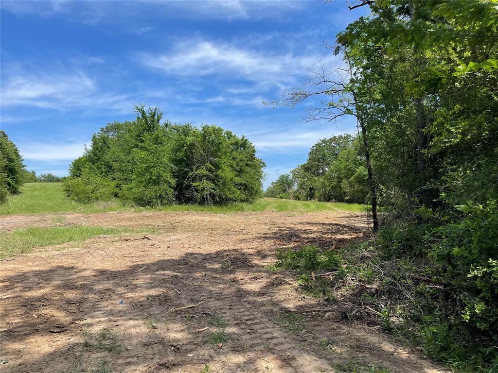 Tract 3 County Road 295, Oakwood, Texas image 9