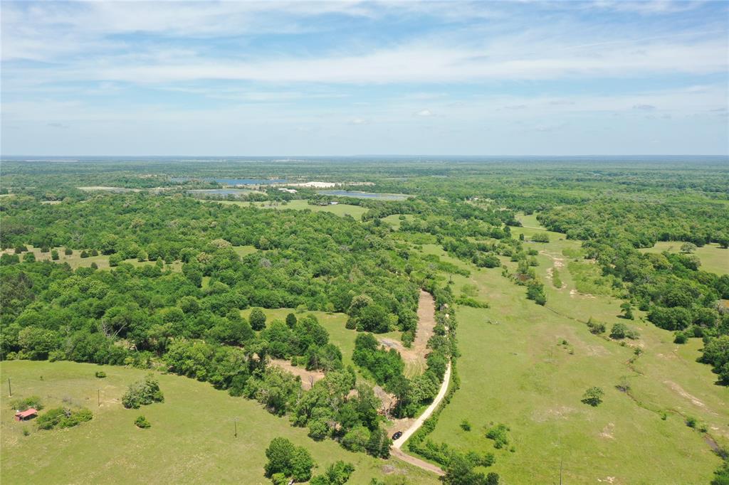 Tract 3 County Road 295, Oakwood, Texas image 10