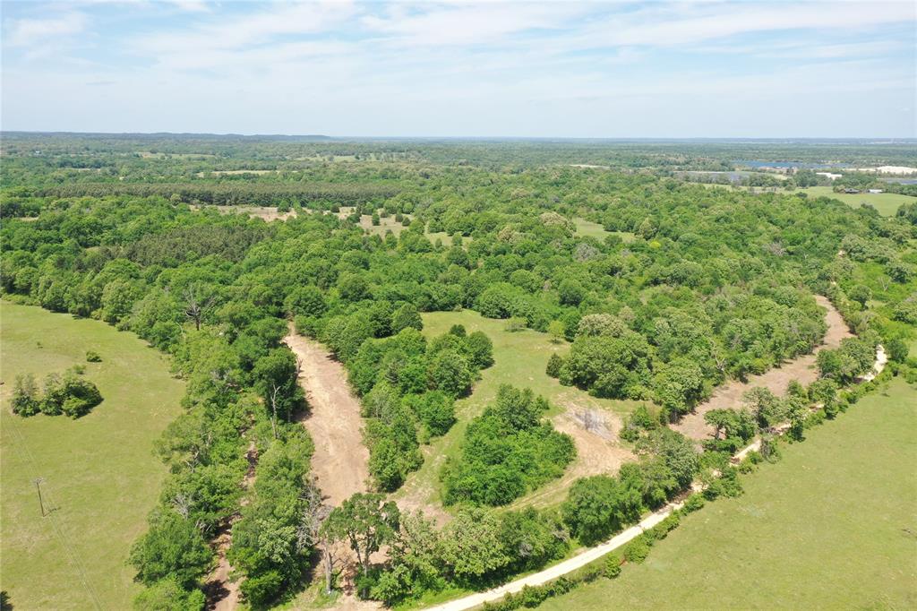 Tract 3 County Road 295, Oakwood, Texas image 7
