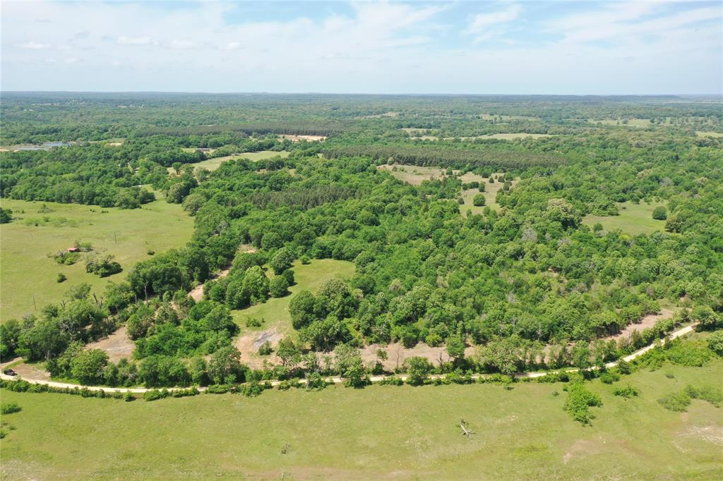 Tract 3 County Road 295, Oakwood, Texas image 5