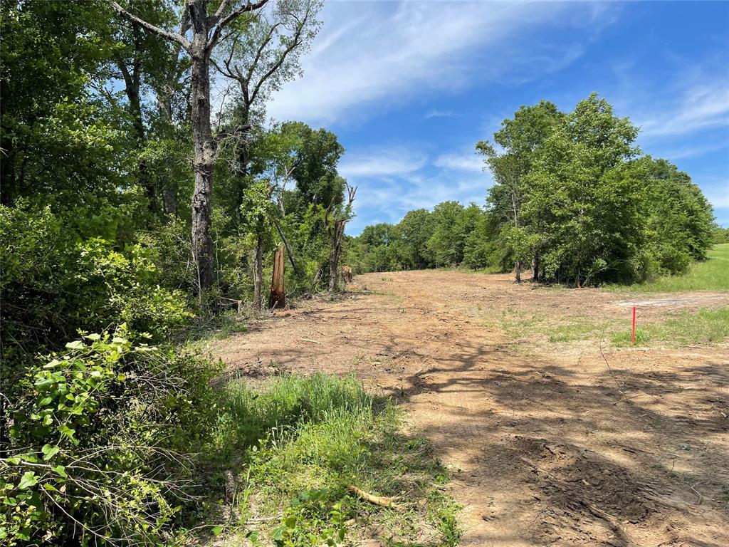 Tract 3 County Road 295, Oakwood, Texas image 11