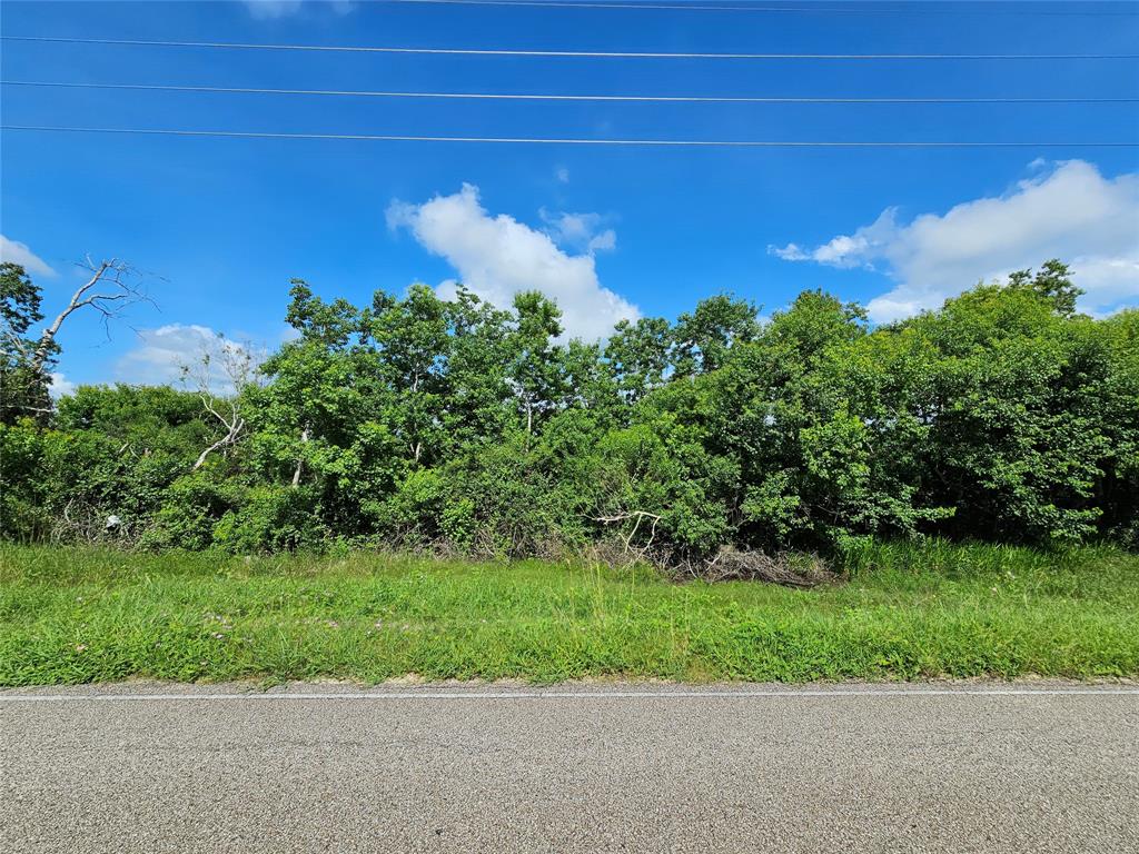 00- County Road 48, Angleton, Texas image 5