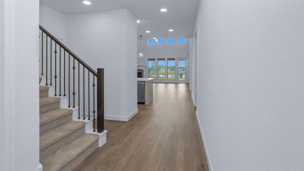 27131 Texas Bluebonnet Trail