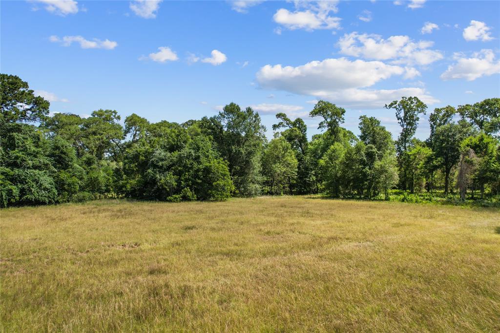 24819 Two Rivers Road, Montgomery, Texas image 11