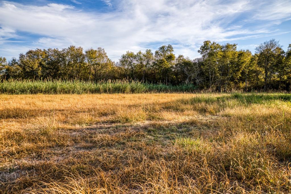 Lot 1 Sandy Hill Road, Brenham, Texas image 8