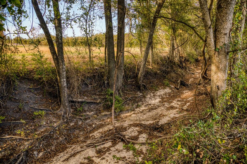 Lot 1 Sandy Hill Road, Brenham, Texas image 2