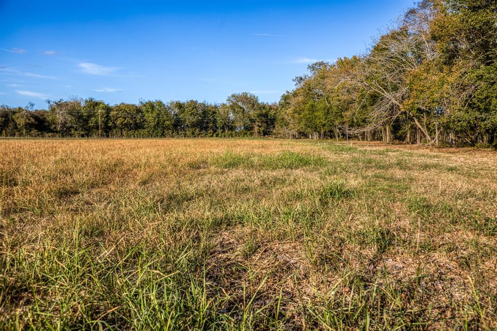 Lot 1 Sandy Hill Road, Brenham, Texas image 9