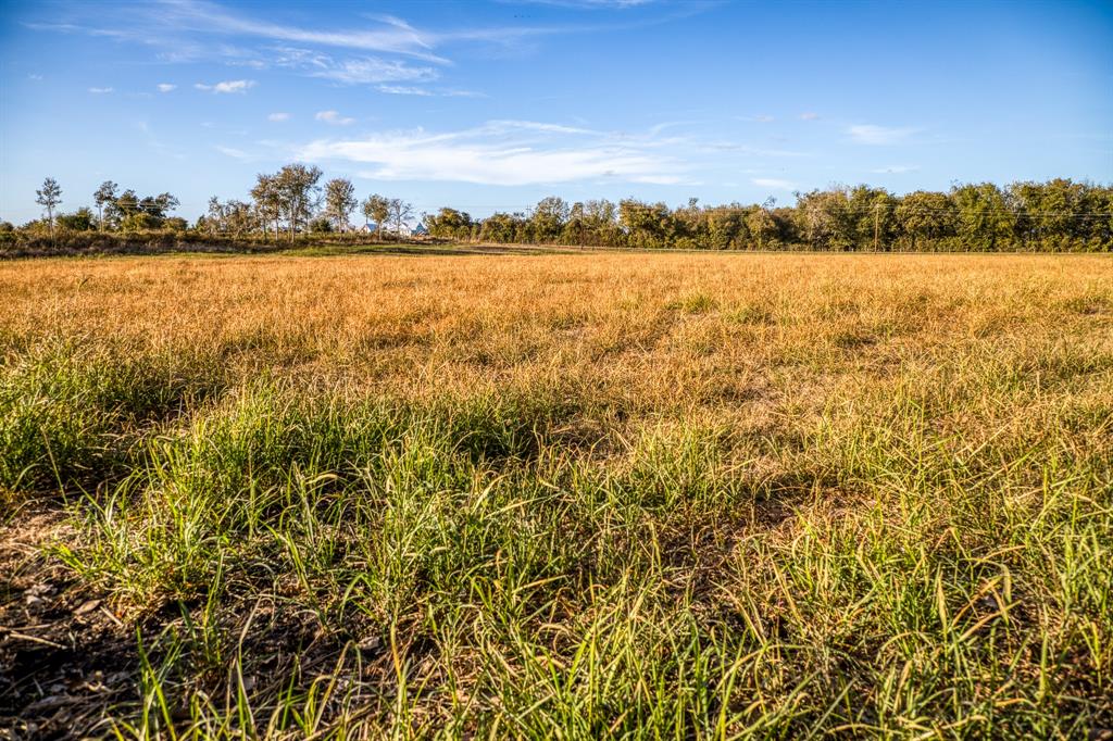 Lot 1 Sandy Hill Road, Brenham, Texas image 10