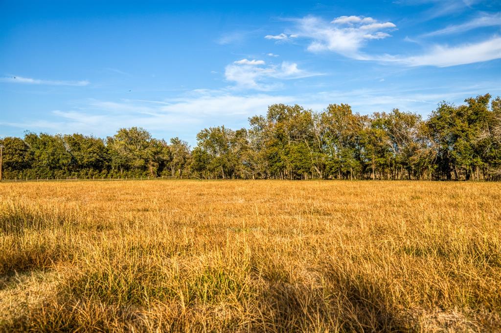 Lot 1 Sandy Hill Road, Brenham, Texas image 7