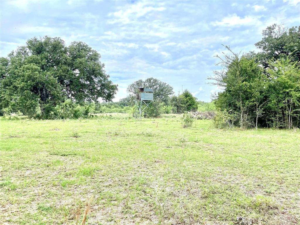 491 Lcr 437, Mexia, Texas image 16