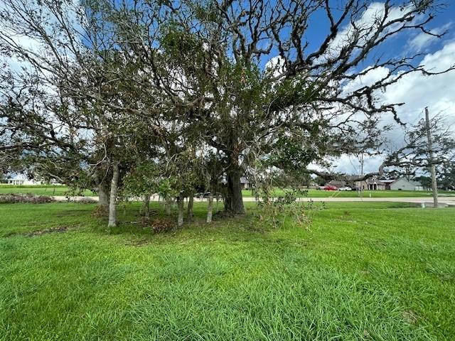 643 Lone Star Trail, Angleton, Texas image 2