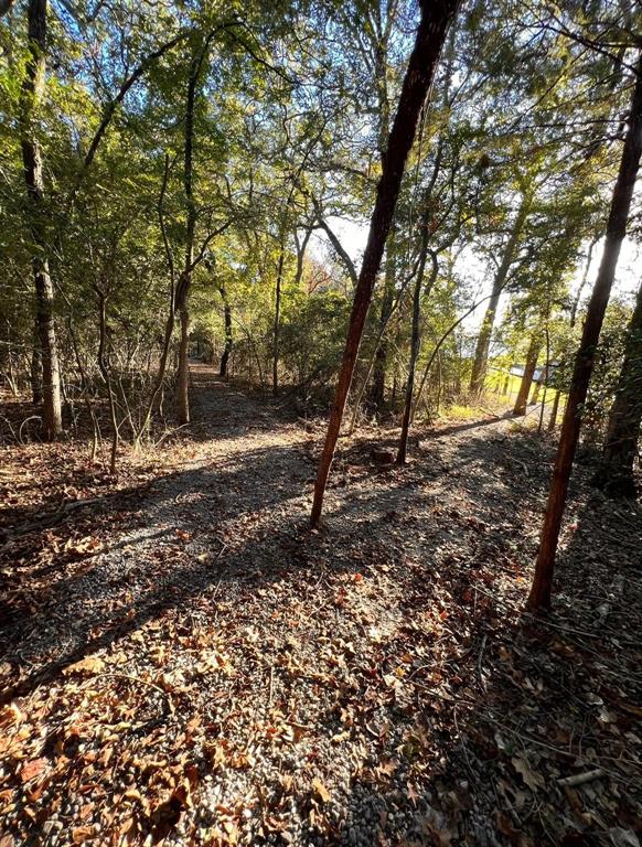 1.16 Acres TBD County Road 902, Jewett, Texas image 2