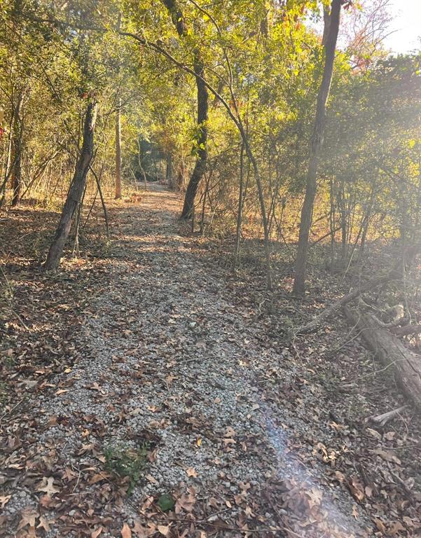 1.16 Acres TBD County Road 902, Jewett, Texas image 6