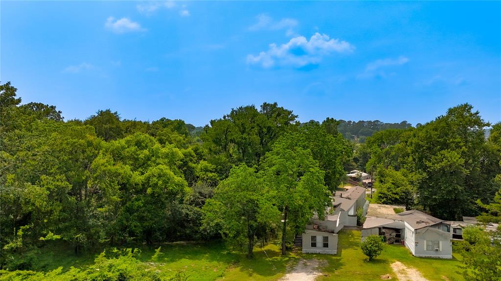 13265 Pecan Tree Drive, Willis, Texas image 21