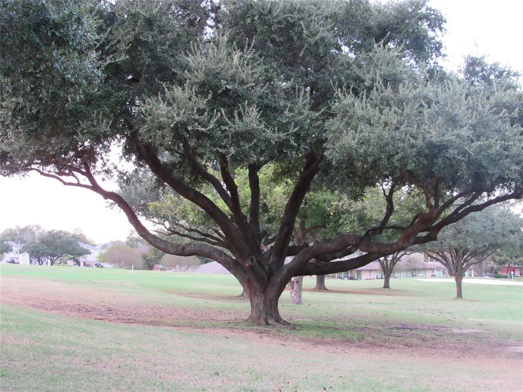 55 April Hill Drive #55, Montgomery, Texas image 31