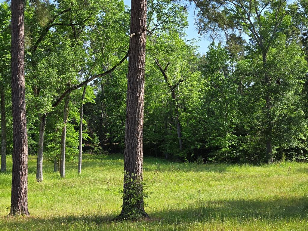 TBD (6) Noah Court, Huntsville, Texas image 7