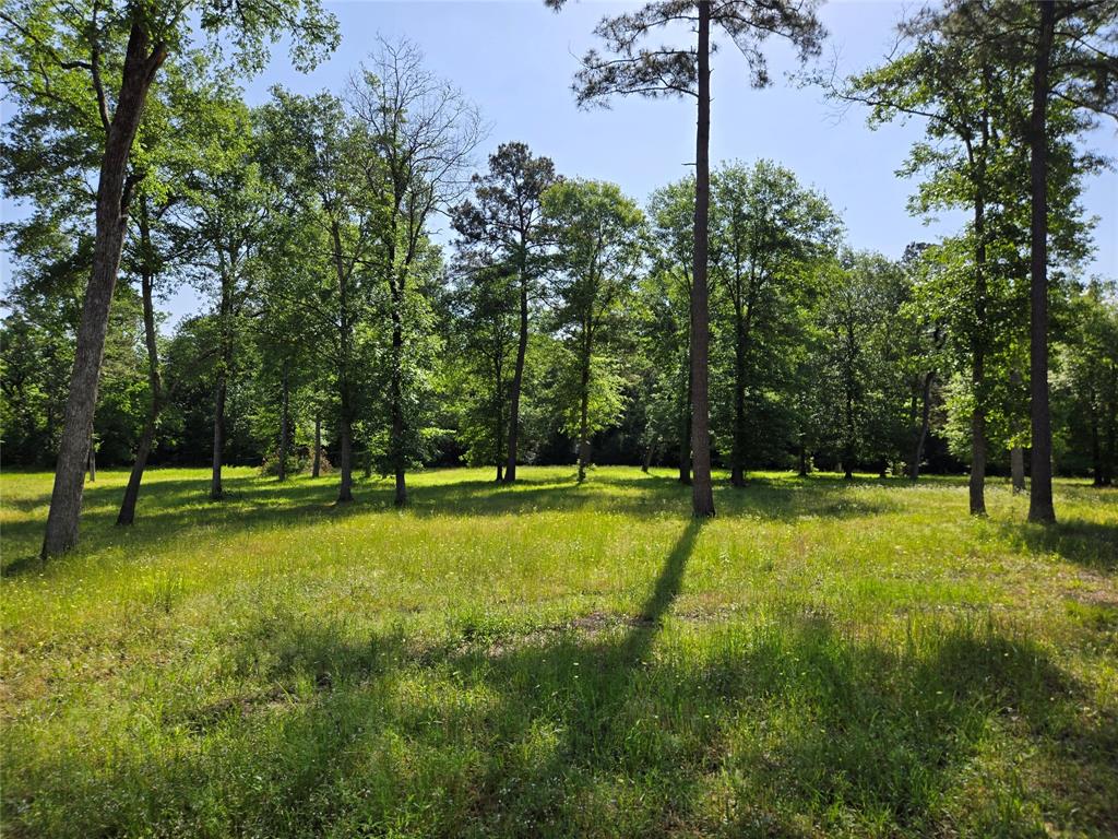 TBD (6) Noah Court, Huntsville, Texas image 1