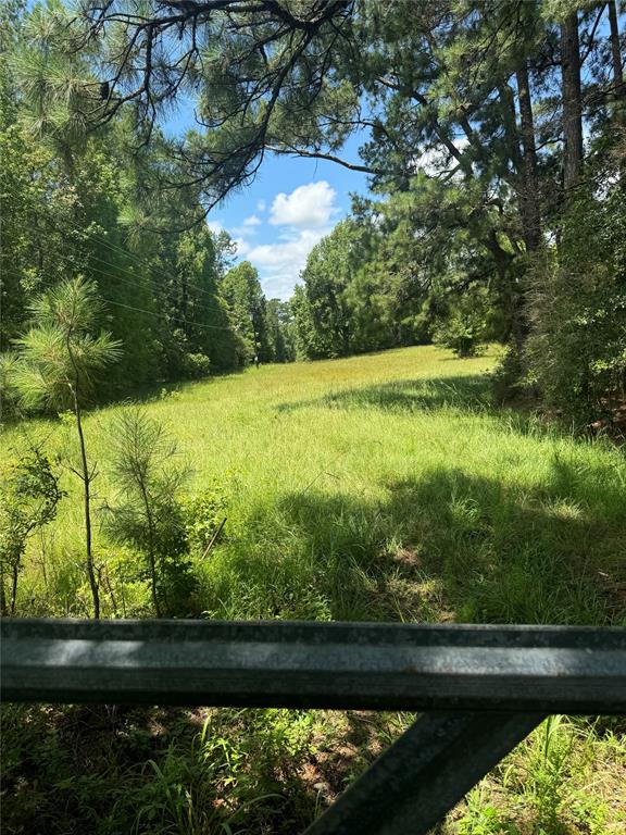 584 Sterling Road, Livingston, Texas image 1
