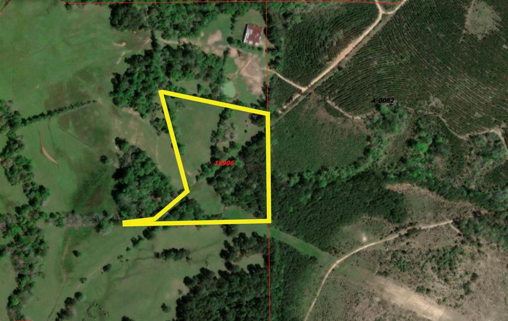 584 Sterling Road, Livingston, Texas image 3