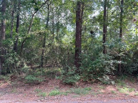 1006 Jefferson River Circle Conroe TX 77316