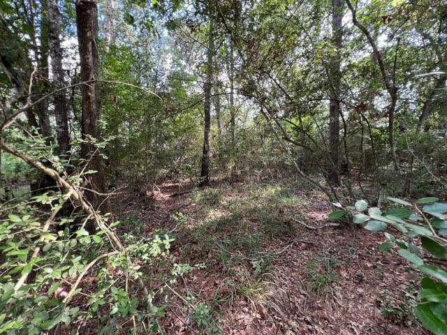 1006 Jefferson River Circle, Conroe, Texas image 7