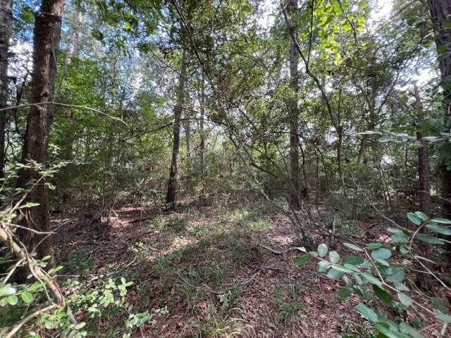 1006 Jefferson River Circle, Conroe, Texas image 6