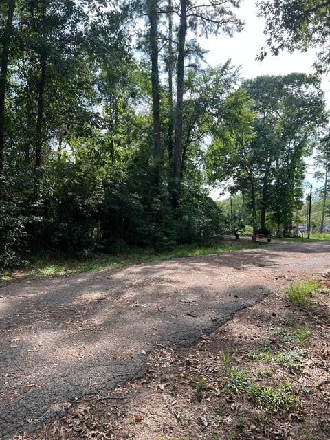 1006 Jefferson River Circle, Conroe, Texas image 9