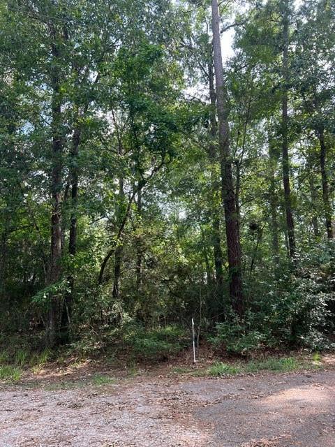 1006 Jefferson River Circle, Conroe, Texas image 8