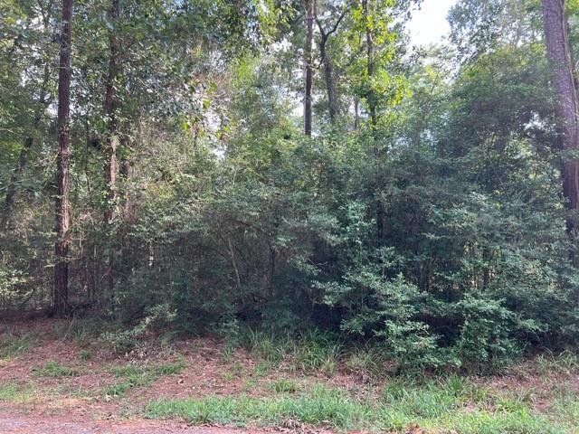 1006 Jefferson River Circle, Conroe, Texas image 2