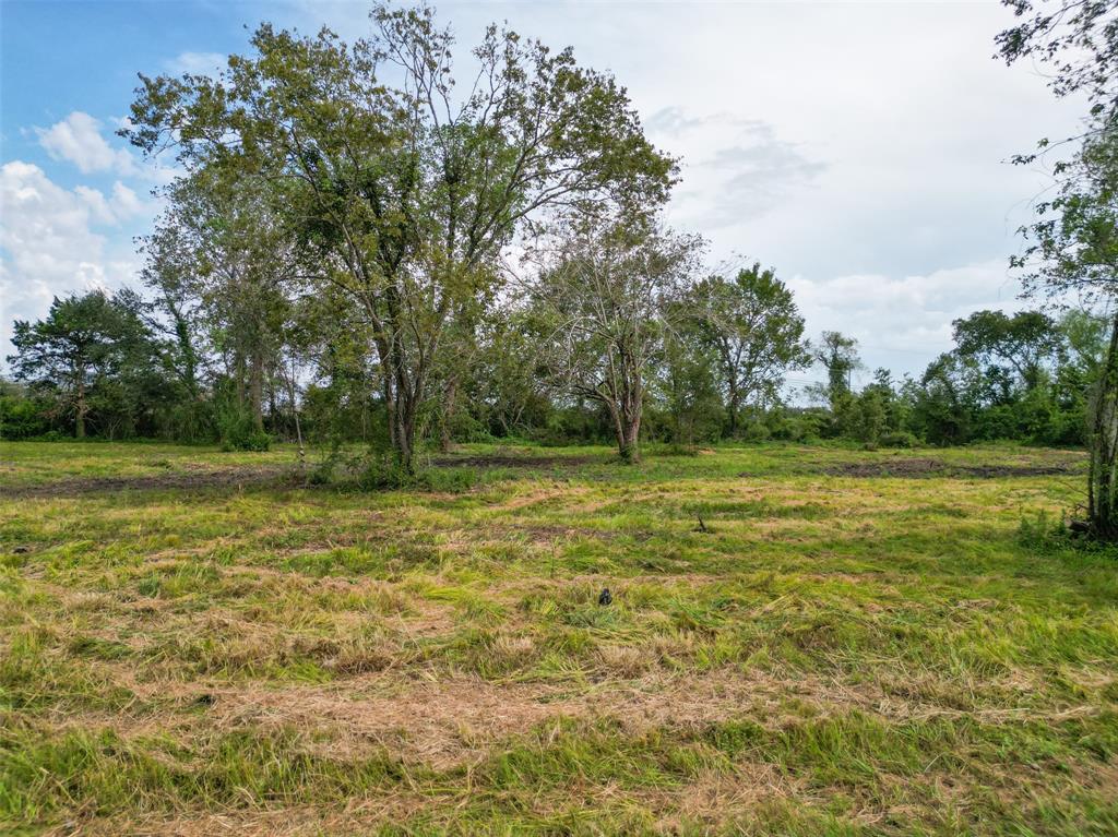 Tallow Forest Street, Dickinson, Texas image 1