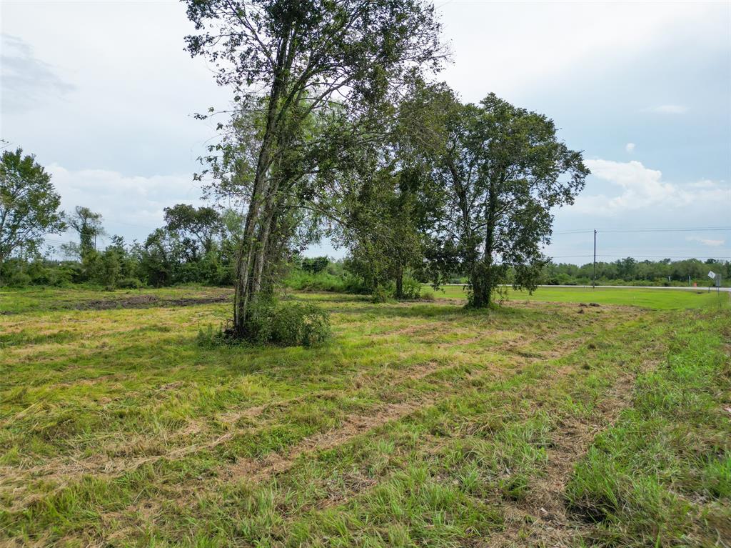 Tallow Forest Street, Dickinson, Texas image 3