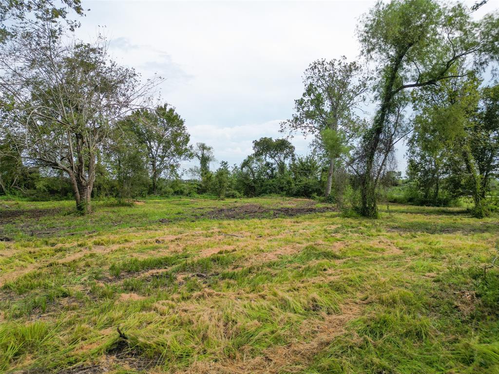 Tallow Forest Street, Dickinson, Texas image 4