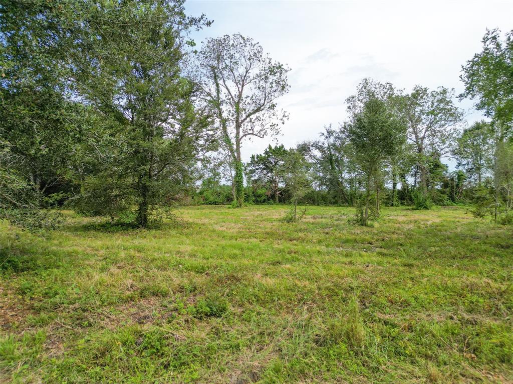 Tallow Forest Street, Dickinson, Texas image 2