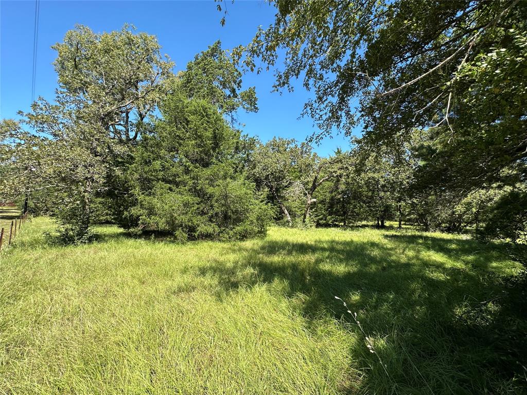 TBD Tract #1 County Road 481, Centerville, Texas image 3