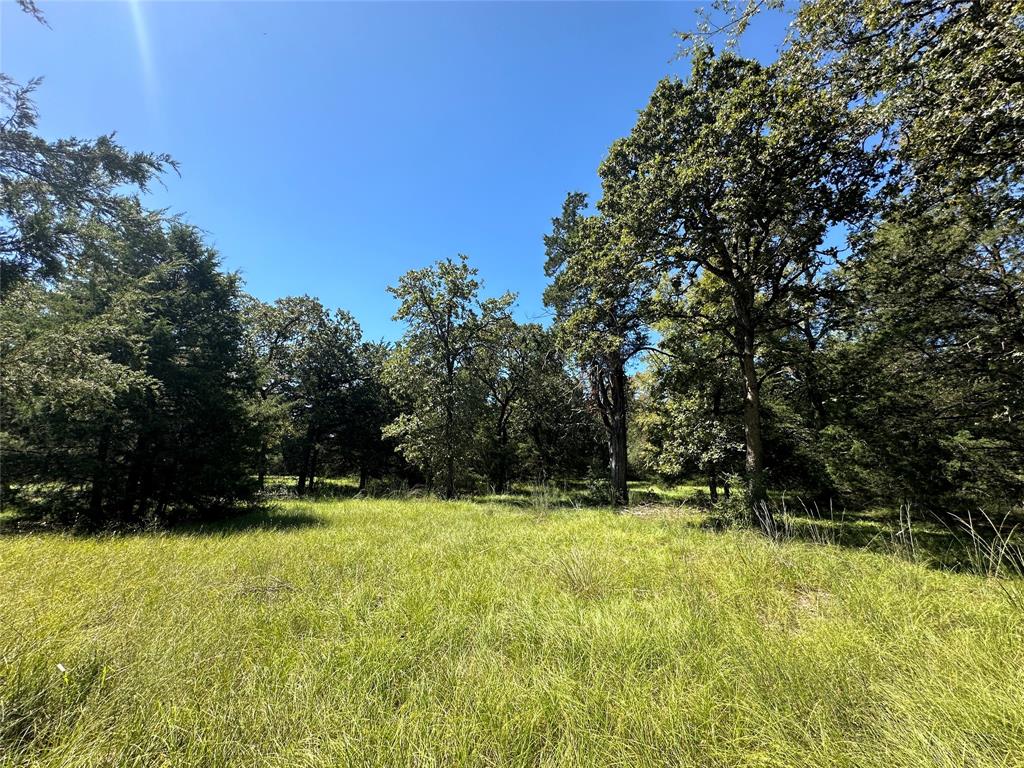 TBD Tract #1 County Road 481, Centerville, Texas image 6