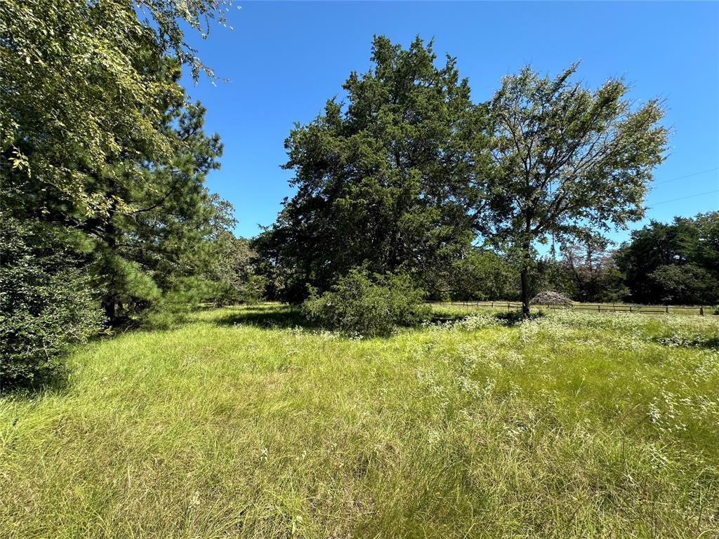 TBD Tract #1 County Road 481, Centerville, Texas image 14