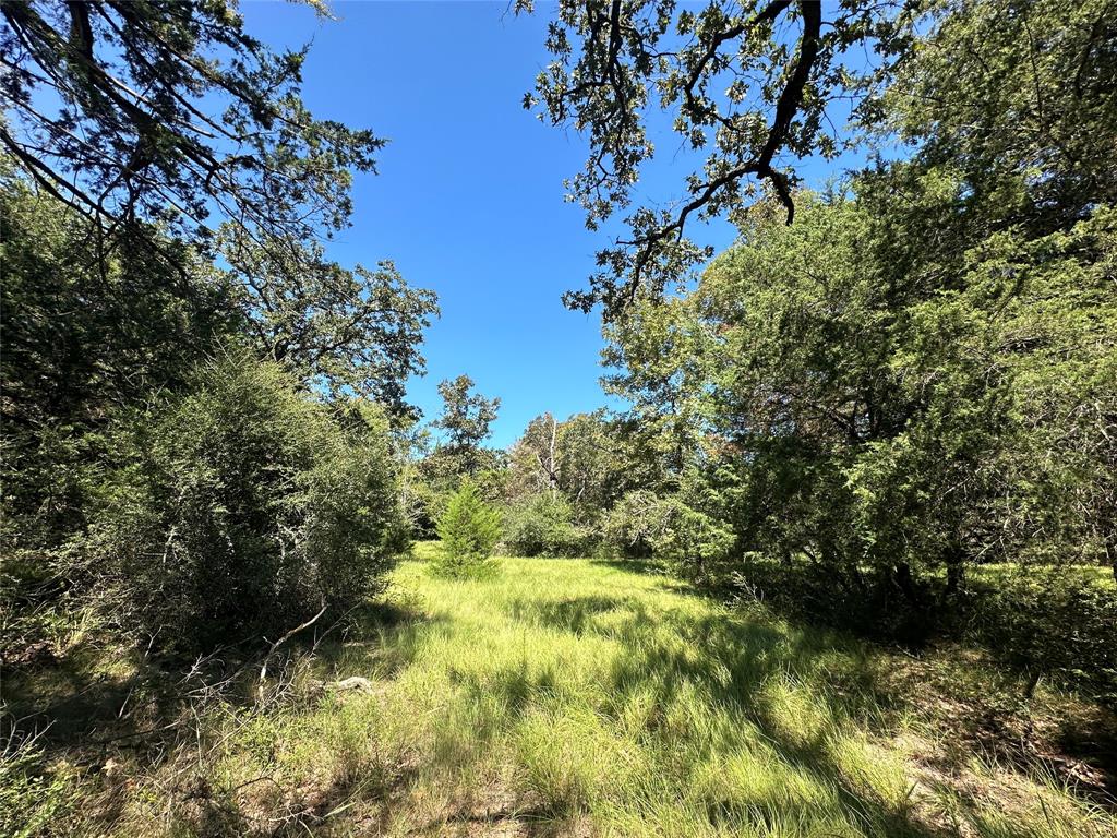 TBD Tract #1 County Road 481, Centerville, Texas image 9