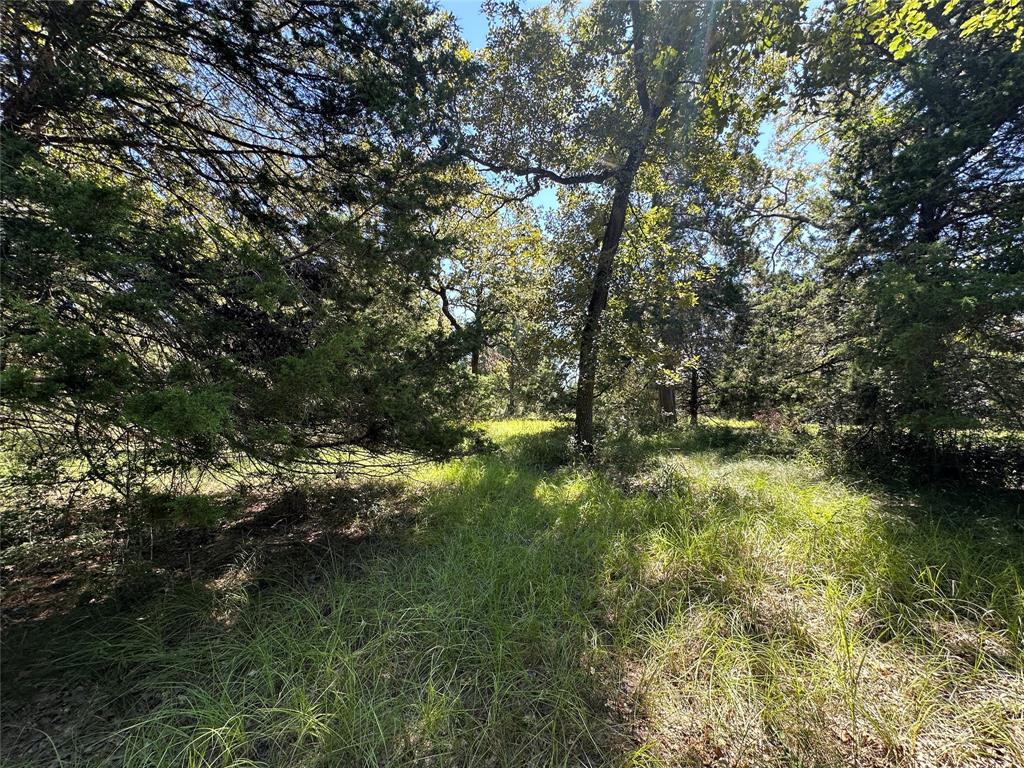 TBD Tract #1 County Road 481, Centerville, Texas image 13