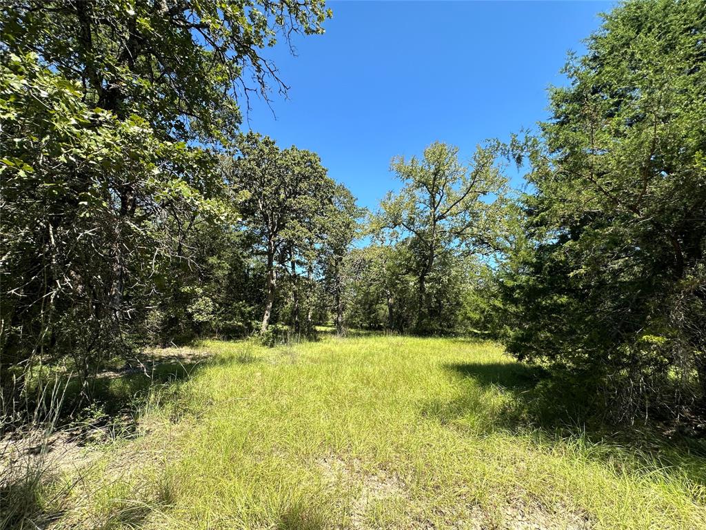 TBD Tract #1 County Road 481, Centerville, Texas image 18