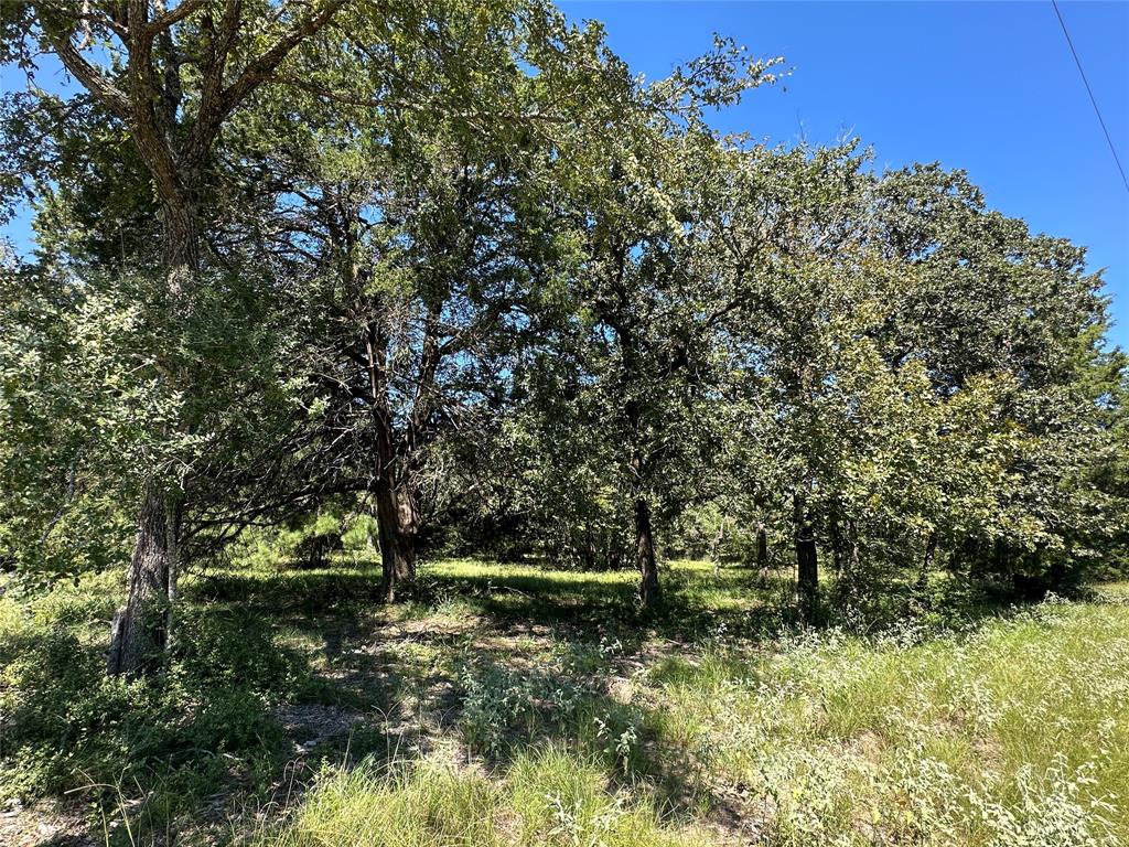 TBD Tract #1 County Road 481, Centerville, Texas image 7