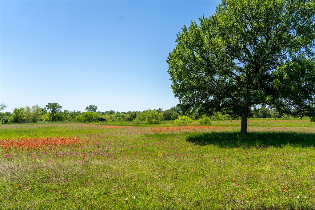 Lot 29 Brazos Court, Caldwell, Texas image 3