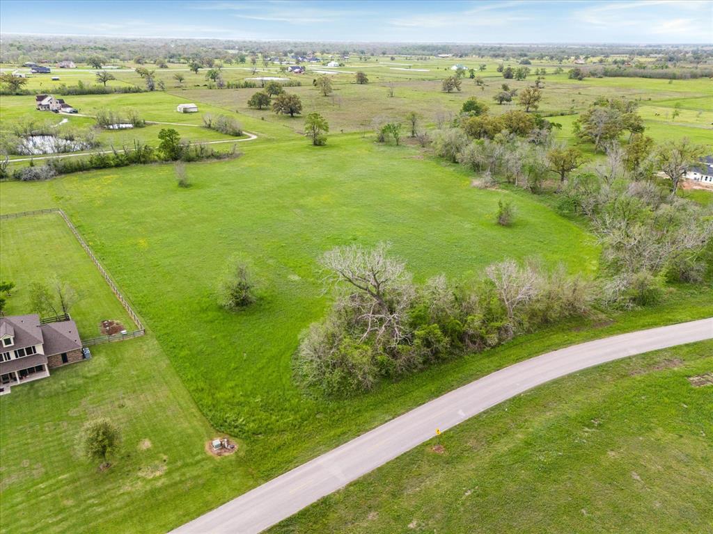 16219 Tankersley Drive, Rosharon, Texas image 4