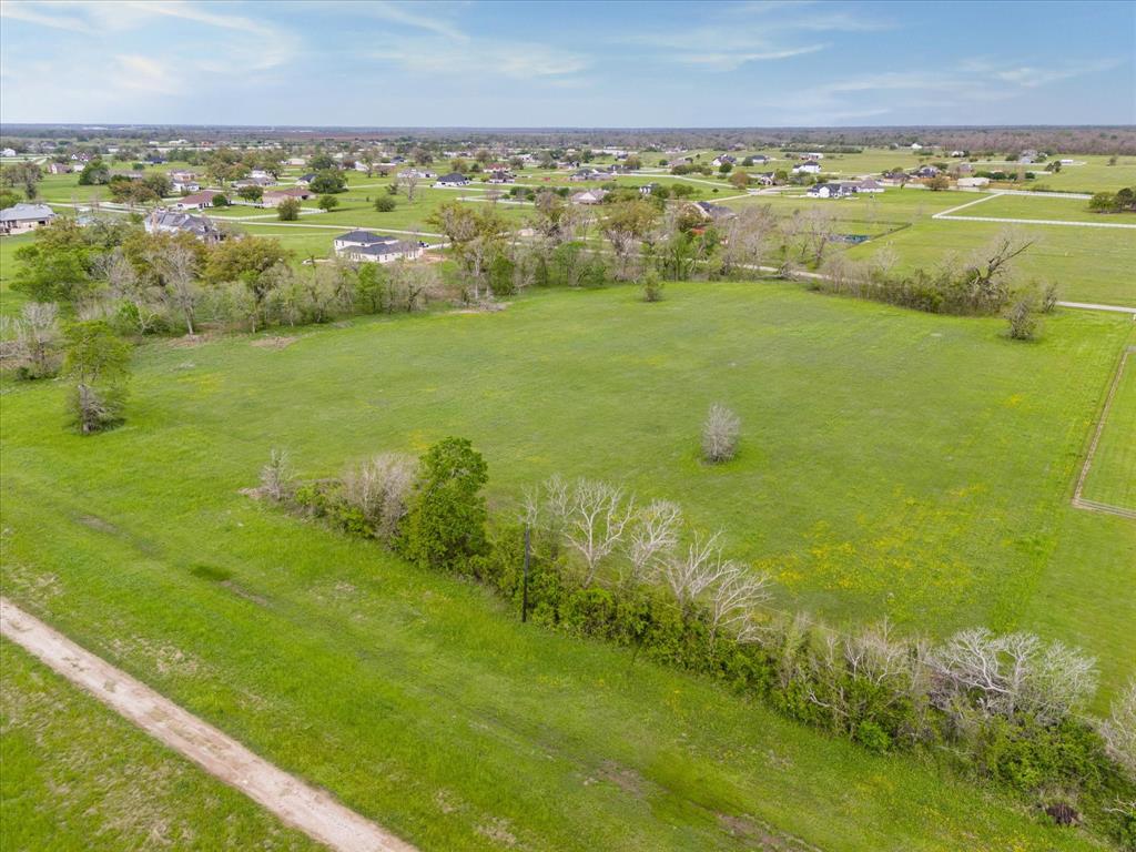 16219 Tankersley Drive, Rosharon, Texas image 2