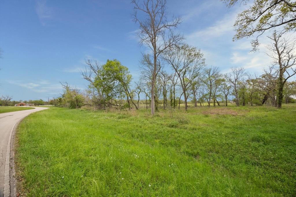 16219 Tankersley Drive, Rosharon, Texas image 3