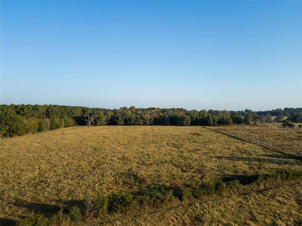 8235 Fm 227, Grapeland, Texas image 31