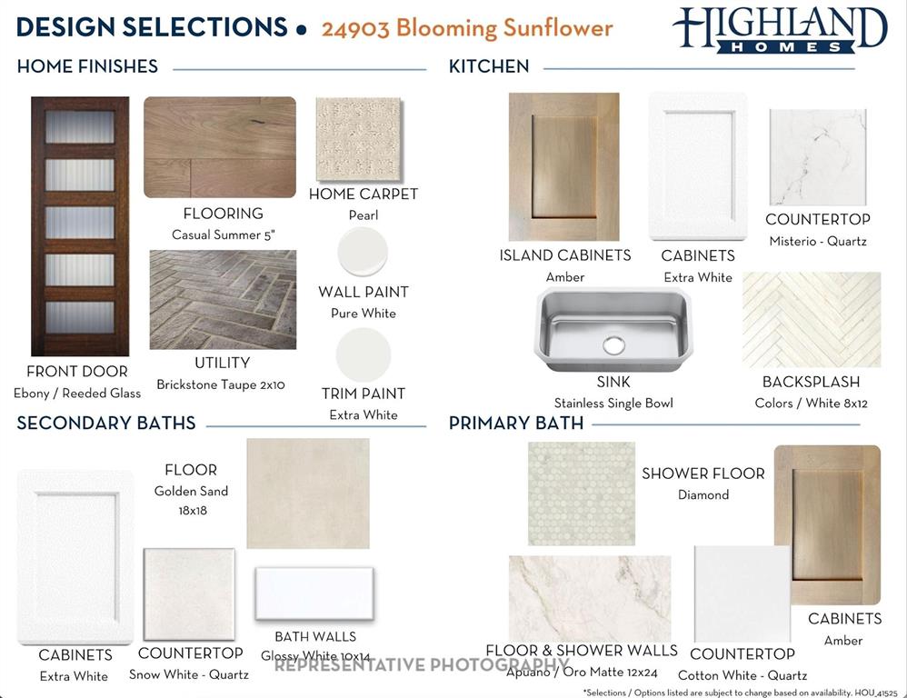 24903 Blooming Sunflower Trail