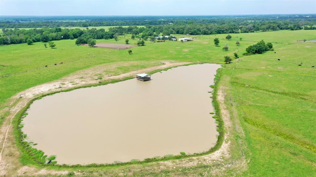 18.0723 Acres Dutton Lane, Madisonville, Texas image 6